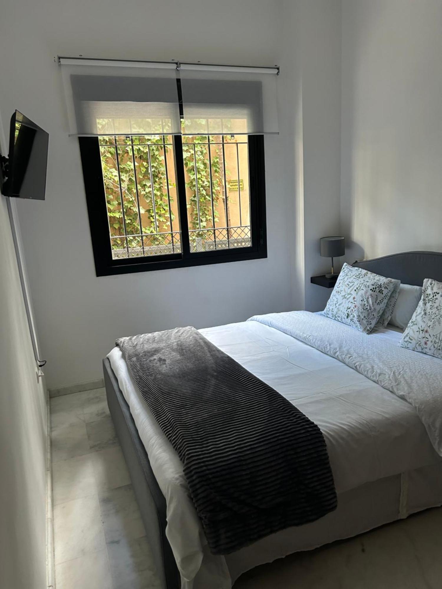 Apartamento Proximo Al Centro De 2 Dormitorios Con Piscina. Sevilla Exteriör bild