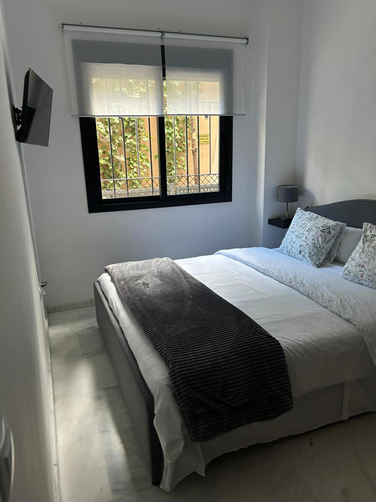 Apartamento Proximo Al Centro De 2 Dormitorios Con Piscina. Sevilla Exteriör bild